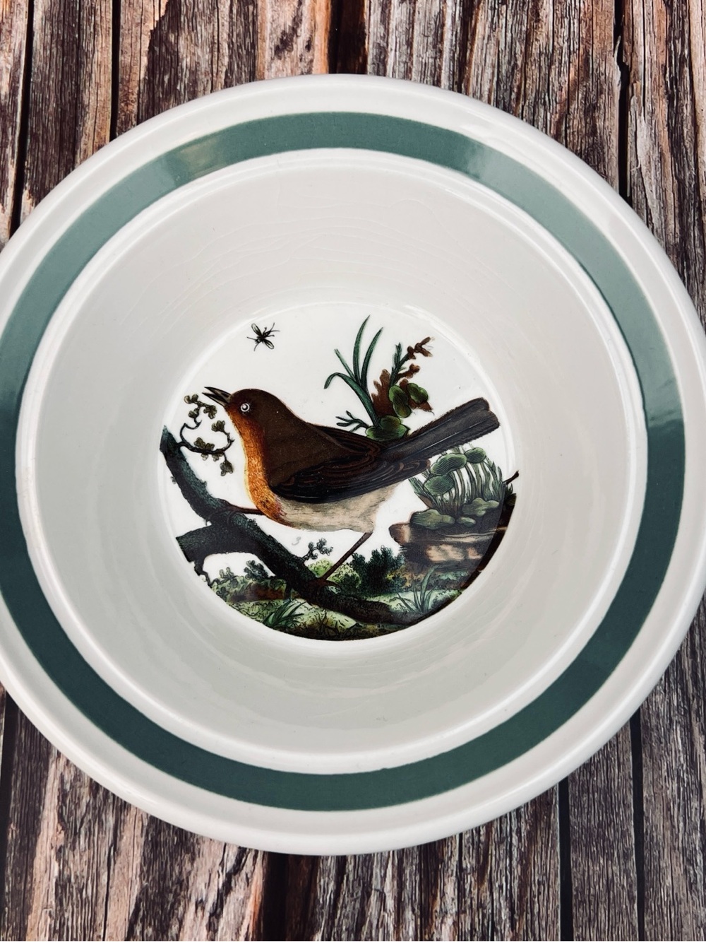 6 1/2” Cereal Bowl Portmeirion Birds of Britain Robin Vintage Made in The UK
